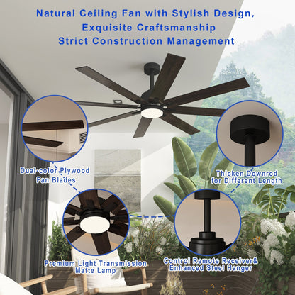 31 inches Modern Dark Brown Ceiling Fan with Dual-Tone Blades and 3-Color LED Light