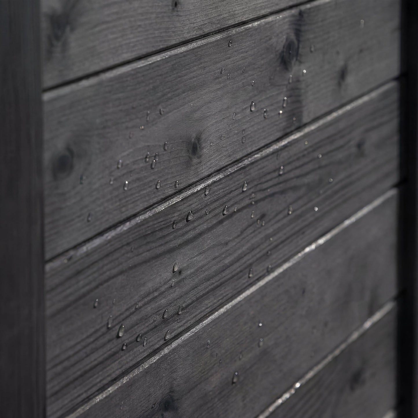 #Color_Black