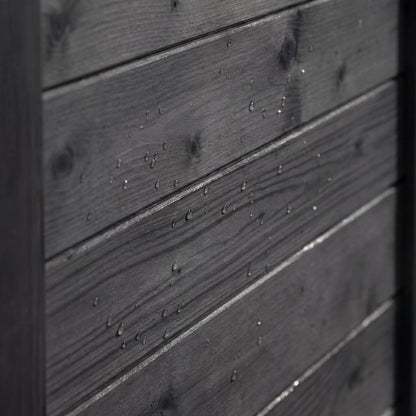 #Color_Black